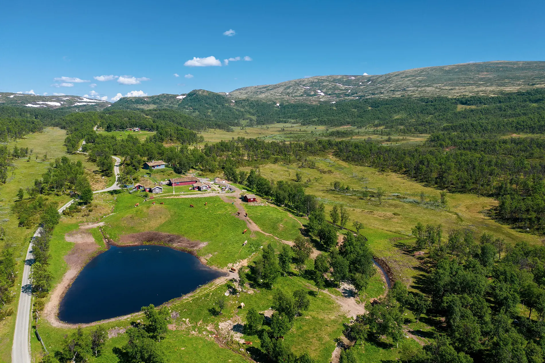 Utleie Hytte setervoll